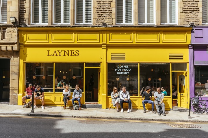 Laynes